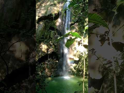 la cascada mas hermosa de los montés de maría chalán sucre. 💦🍃🧑‍🦯🌲
