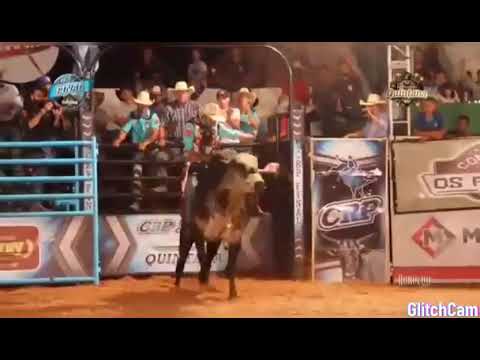 melhores montarias da final de quintana CRP 2017