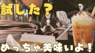 スタバの新作で秋の味覚を楽しみました🥰🍠