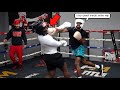 I Boxed My Bestfriend