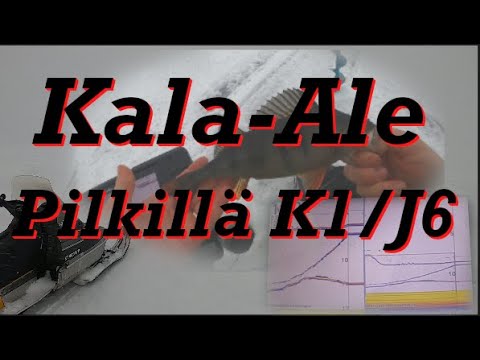 Kala-Ale Pilkillä 28.1 K1/J6