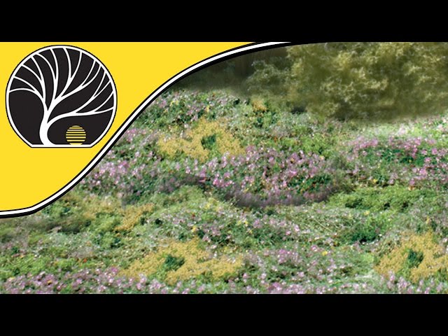 Modeling Flowering Foliage Video