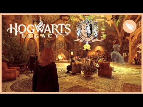 HOGWARTS LEGACY Hufflepuff Common Room Ambience | No Music | 1 HOUR