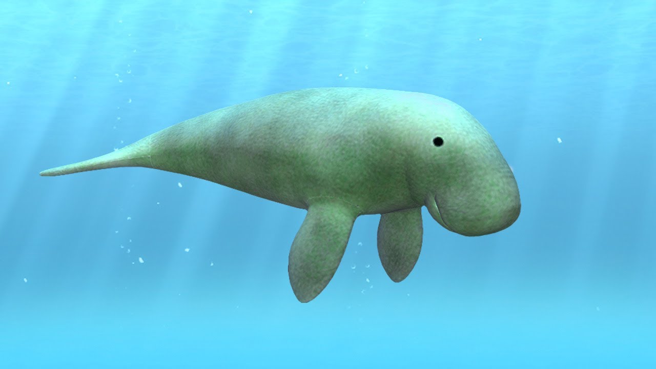 アプリ「ジュゴンと熱帯魚たち」PR動画