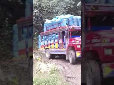 hermoso viaje de café el que lleva esta chiva en el municipio de Teruel Huila #campo #chivas #café