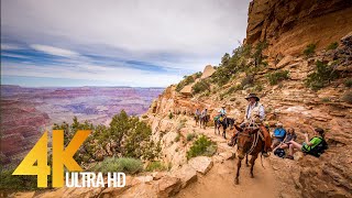 Grand Canyon National Park - 4K Documentary Film with Narration (English)