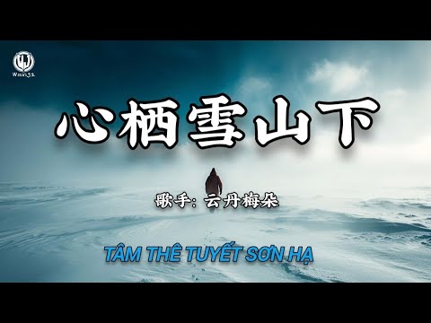 云丹梅朵 - 心栖雪山下 || T&acirc;m Th&ecirc; Tuyết Sơn Hạ (Lyrics 2026)