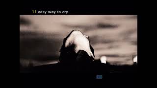 David Gray - Easy Way to Cry (DVD 5.1 Downmix)