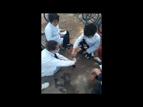 5to año 2021 escuela 186 parque del plata canelones uruguay