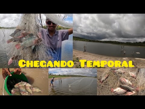 Essa é a situação do Açude Araçagi na cidade de Esperança Paraíba, uma riqueza de peixes 