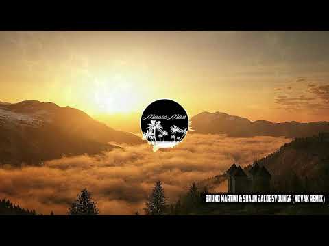 Bruno Martini & Shaun Jacobs - Youngr (Novak Remix)