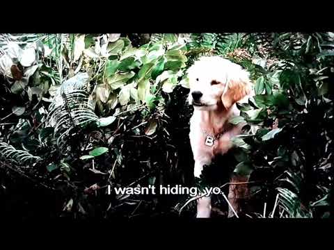 the Buddies dare B Dog scene