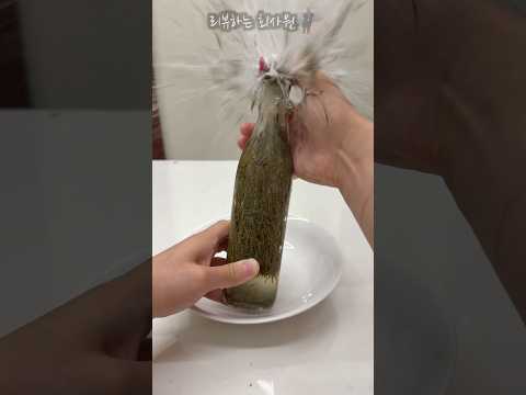 솔잎으로 사이다를 만들 수 있다고?