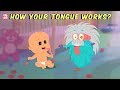 How Your Tongue Works? - The Dr. Binocs Show | Best Learning Videos For Kids | Peekaboo Kidz