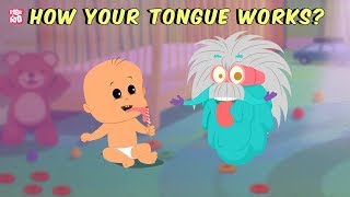 How Your Tongue Works? - The Dr. Binocs Show | Best Learning Videos For Kids | Peekaboo Kidz