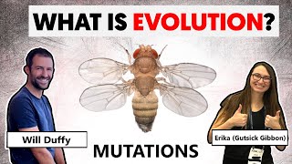 Teaching Famous Creationist Will Duffy Evolutionary Theory (LIVE) Mutations