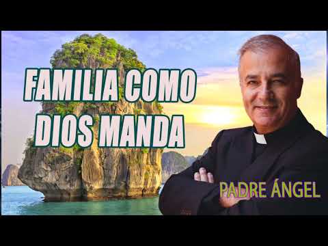 Padre Ángel Espinosa de los Monteros - Familia como Dios manda