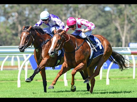 2020 Magic Millions National Broodmare Sale - Champagne Cuddles