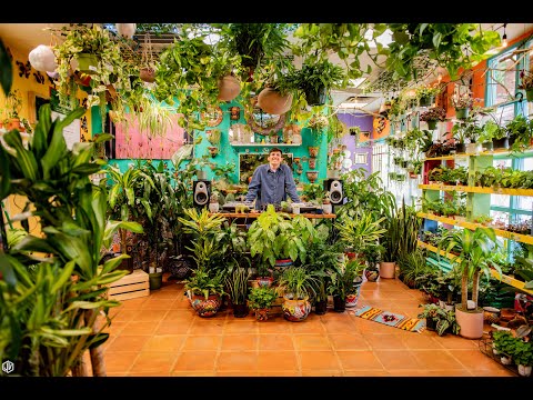 Subjet - Dub Reggae & Dubstep Vinyl Mix