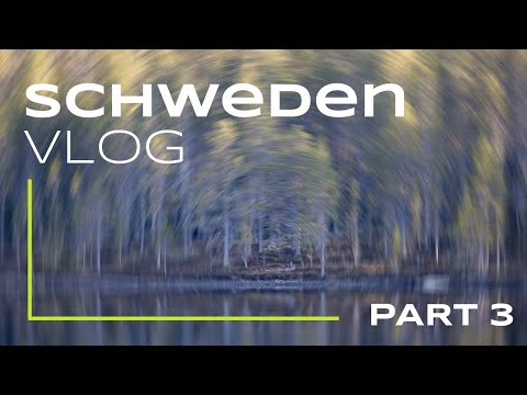 Sweden's Wildlife - In the Bear Forest (Part 3)