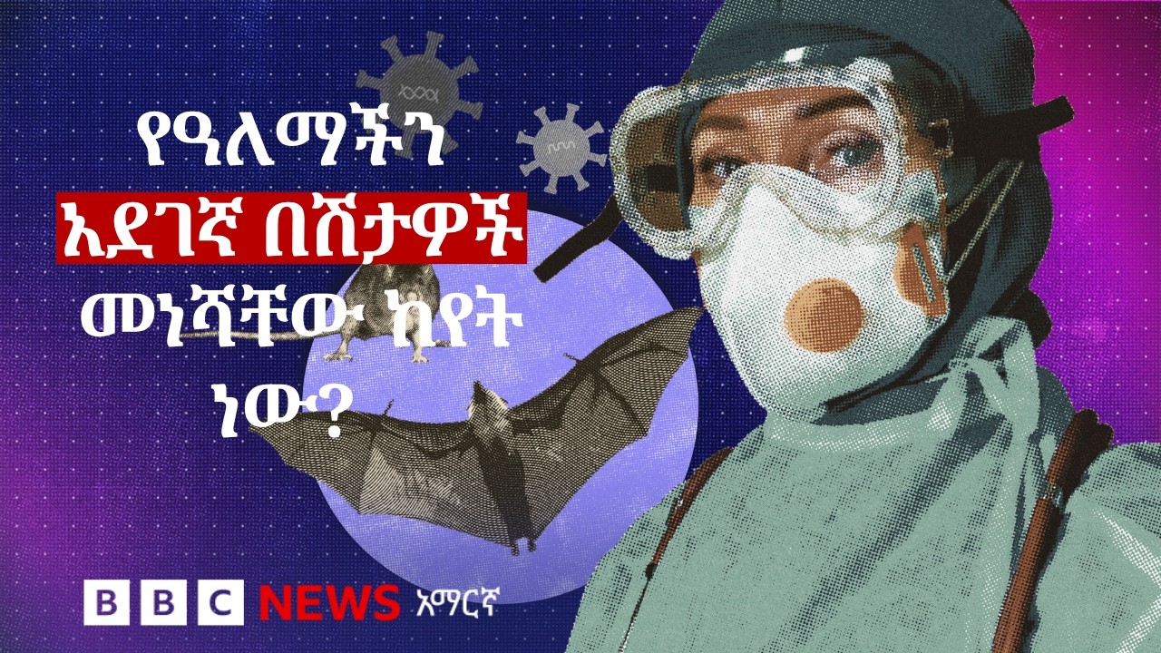 ኢቦላን የመሳሰሉ የእንስሳት በሽታዎች ለምን ሰውን በተደጋጋሚ ያጠቃሉ? | BBC News አማርኛ