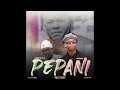 Kineo And Aidfest Pepani Free Afro Beat Instrumental 2026