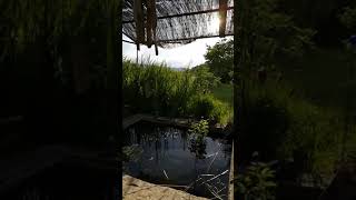 Zenitude autour du lavoir