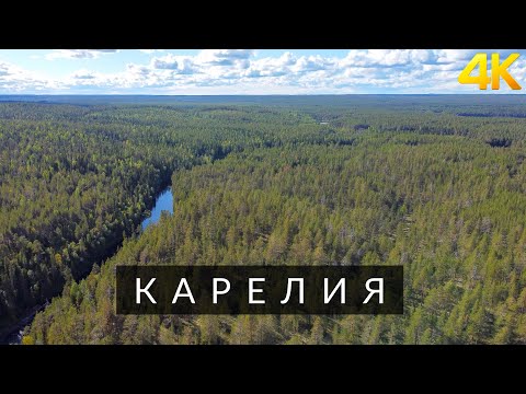 Карелия | Природа Карелии | Nature of Karelia | 4K