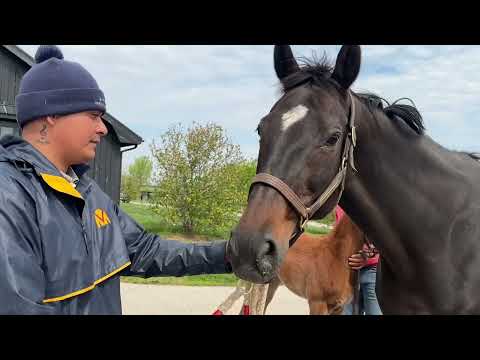 Foal Fridays with Ren Carothers: GunRunner, Stopchargingmaria, and their filly