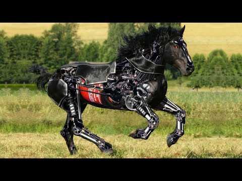 8 FORTSCHRITTLICHE ROBOTERTIERE, DIE IHR SEHEN MÜSST