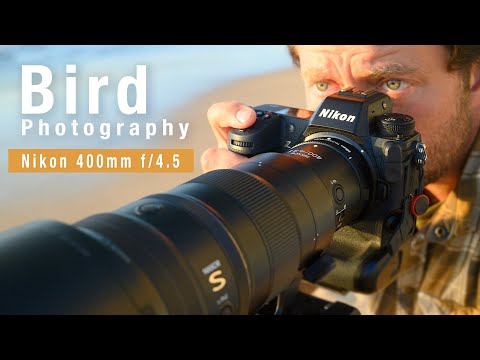 NIKON Z 400mm f/4.5 - Photographing birds in flight with 1.4x teleconverter