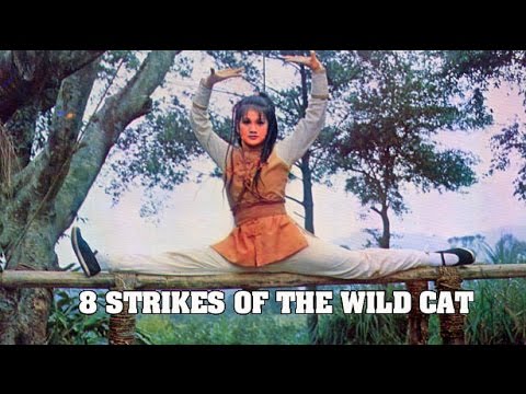 Wu Tang Collection - Eight Strikes Of The Wild Cat