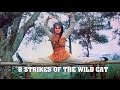 Wu Tang Collection Eight Strikes Of The Wild Cat