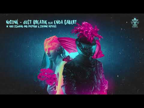 Nicone - Just Breathe feat. Enda Gallery (Niko Schwind Remix)