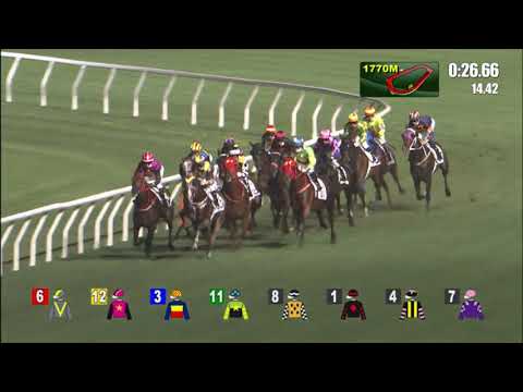 27/4/2022 (617) Wonder Years - Matthew Chadwick