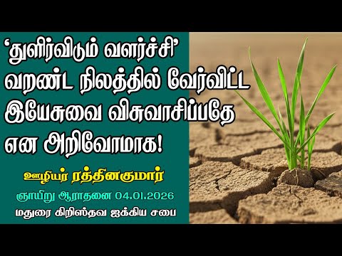 'Tender' growing, depends on believing Jesus who rooted in Dry Ground!