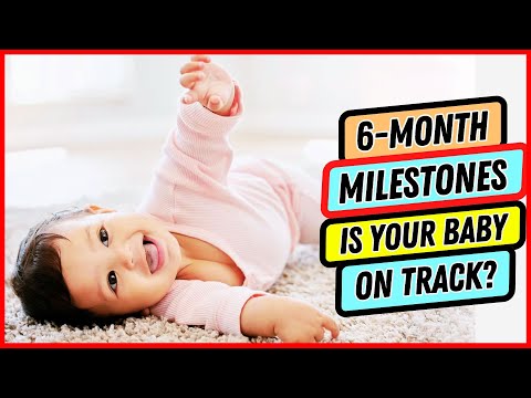 👶 6 Month Old Baby Development ➝ What to Expect & Milestones ✅