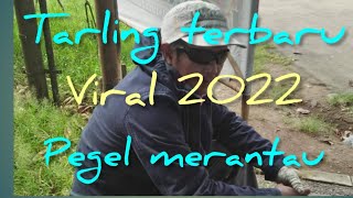 Download lagu Lagu tarling terbaru 2022 pegel merantau clip asli mp3 Download lagu Lagu tarling terbaru 2022 pegel merantau clip asli mp3