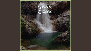 Condemned Without Trial