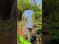 Man Udhan Varyache Rang Pavsachi