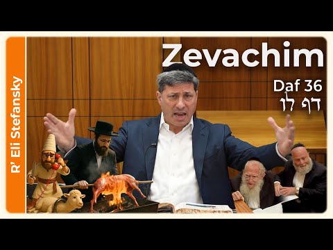 Daf Yomi Zevachim Daf 36 by R' Eli Stefansky