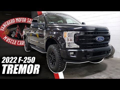 2022 Ford F250 (CC-1731636) for sale in Plymouth, Michigan