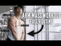 How To Get Bigger Arms Explained (MASSIVE PUMP) Full Arm Workout & Routine Explained to Gain Size