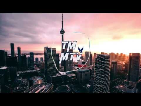 Svniivan & Edwince - Euphoria ft. Mitchell Martin (Despotem Remix)