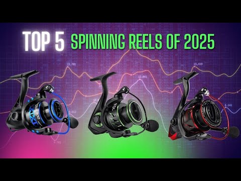 top 5 best spinning reels review in 2025