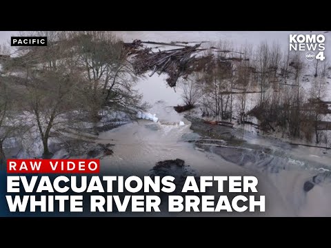 DRONE VIDEO: Evacuations in Pacific, Washington, after White River breach