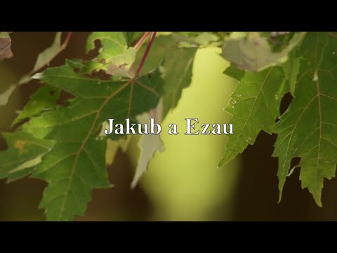 BIBLIA 6 | Jakub a Ezau