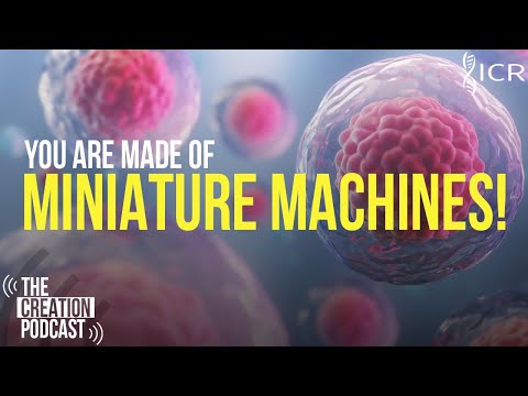 The Secrets of the Cell | The Creation Podcast: Episode 29