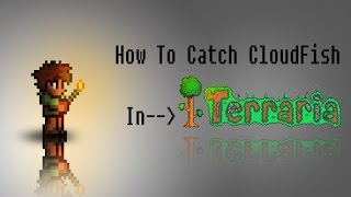 Terraria - How To Catch A Cloudfish