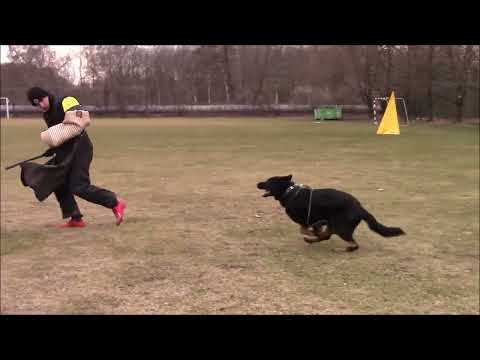 Cyril z Gargasu - protection training 2022